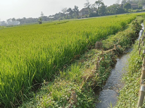 Irrigation System Maintenance in Tulsa