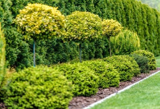 Seasonal Yard Cleanups in Tulsa