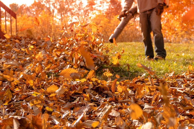 Owwaso Seasonal Yard Cleanups