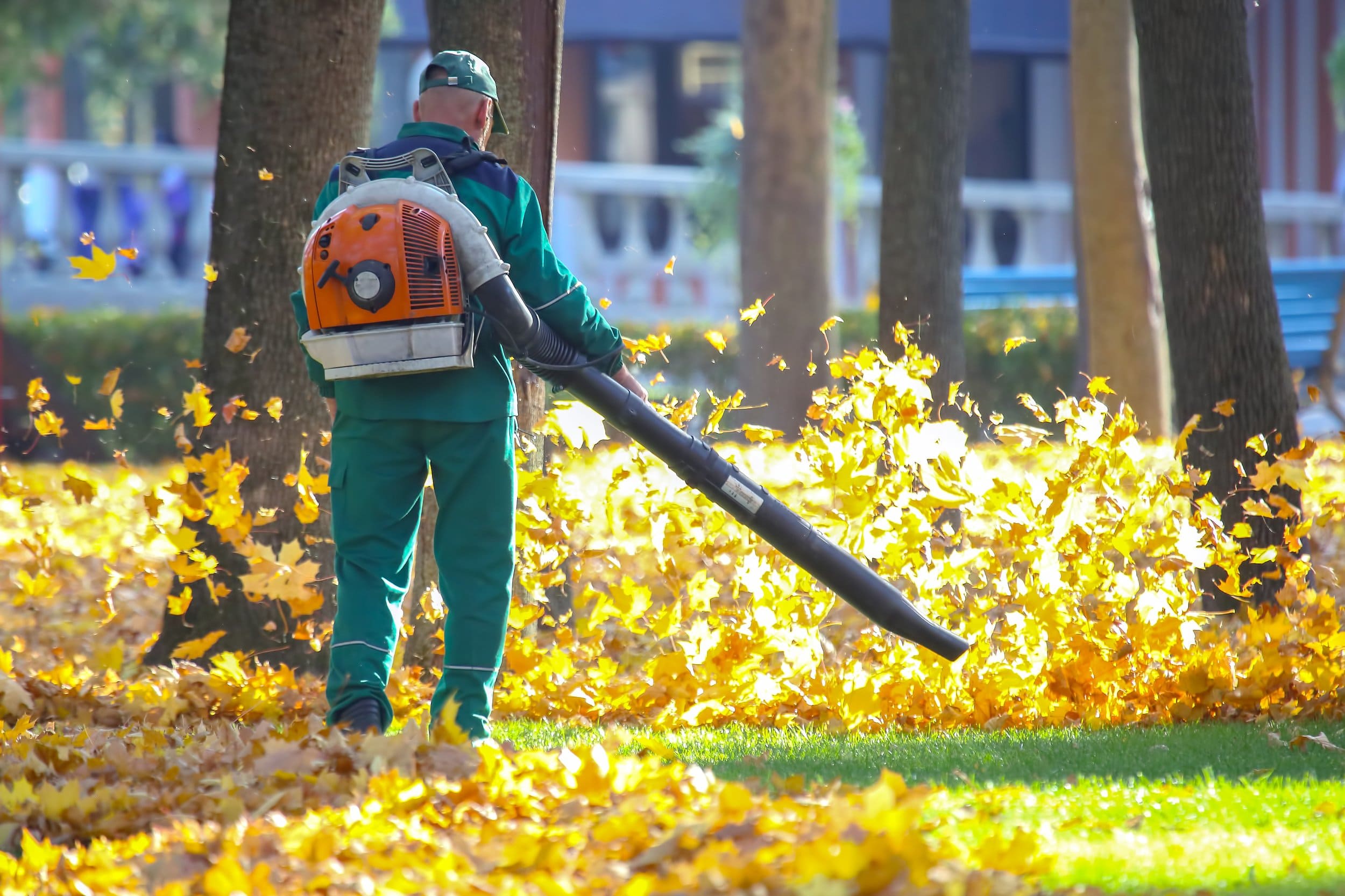 Broken Arrow Seasonal Yard Cleanups