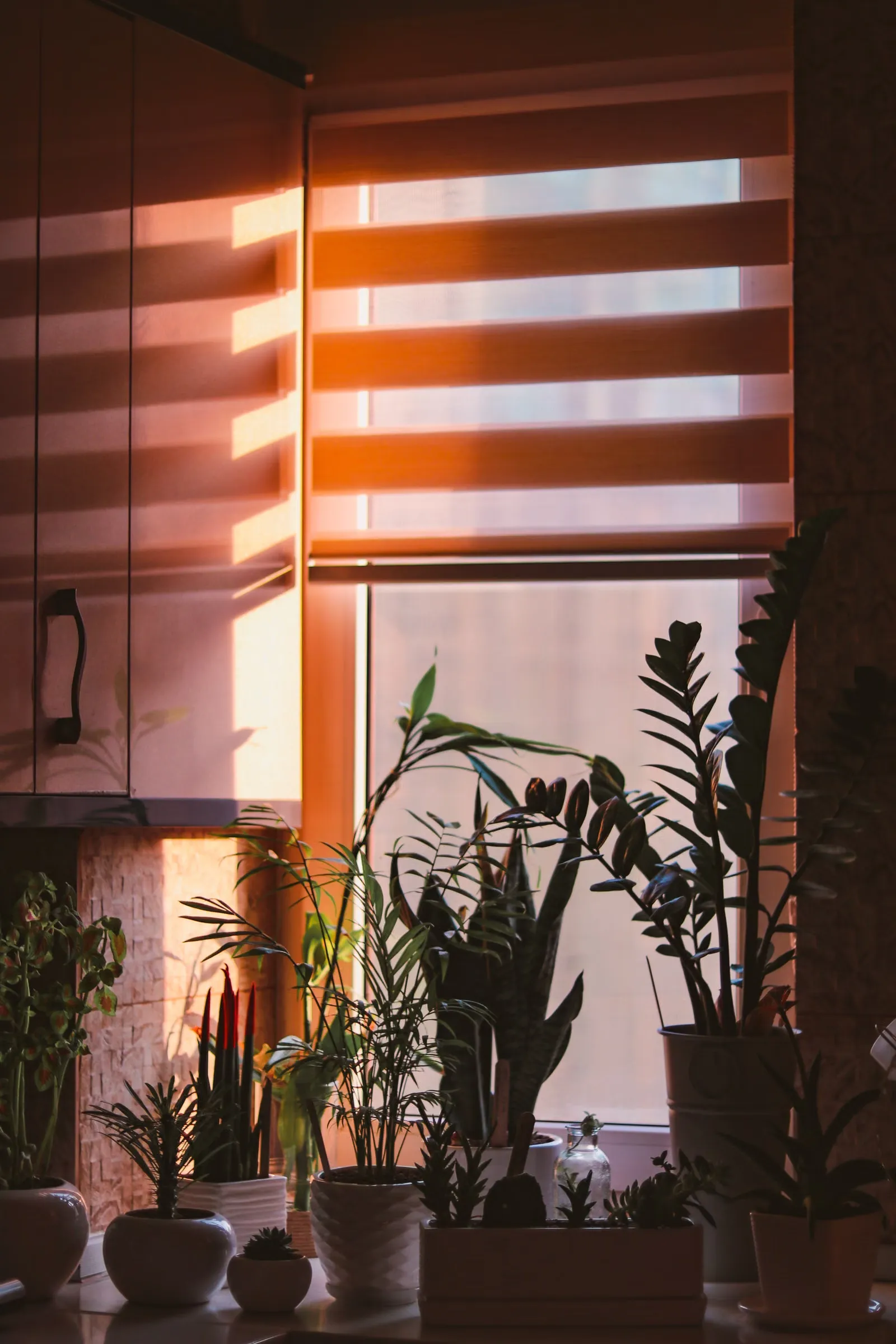 Dual-layer light-filtering interior shade half-drawn on a kitchen window, warm evening light