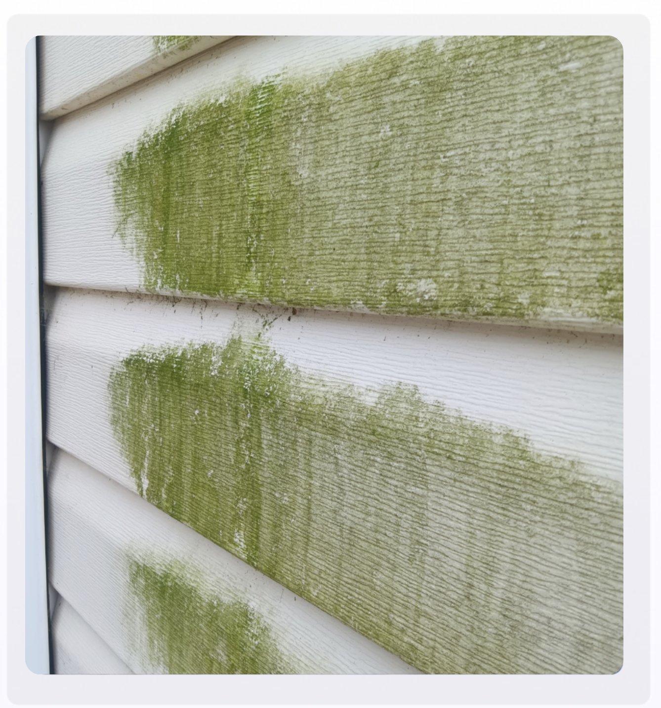 Green mold-covered vinyl siding before house washing in Canton GA