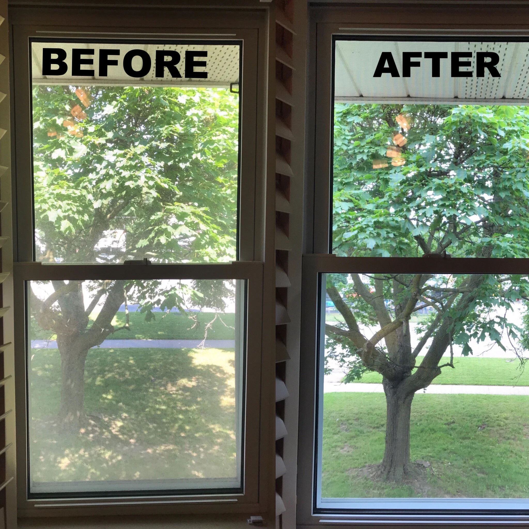 Interior window before and after cleaning showing hazy film removed to reveal clear mountain view in Canton GA area