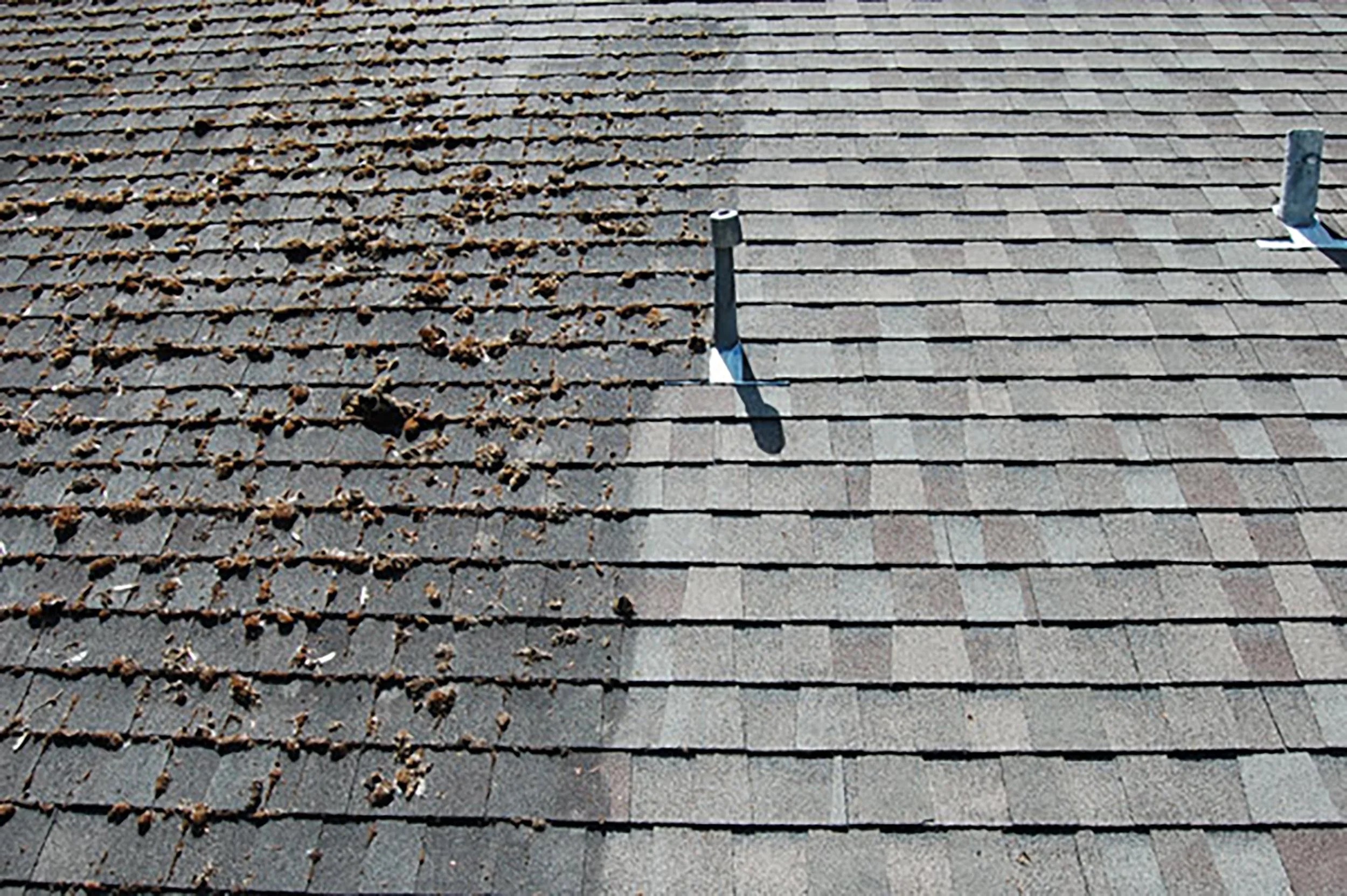 Dormer roof before and after cleaning showing heavy black algae streaks completely removed from asphalt shingles