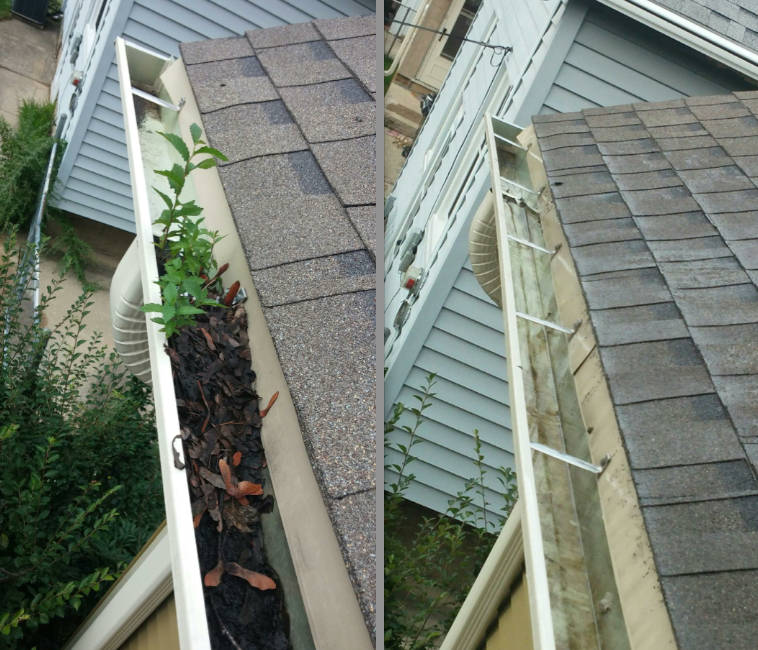 Gutter filled with pine needles before and clean gutter after professional cleaning