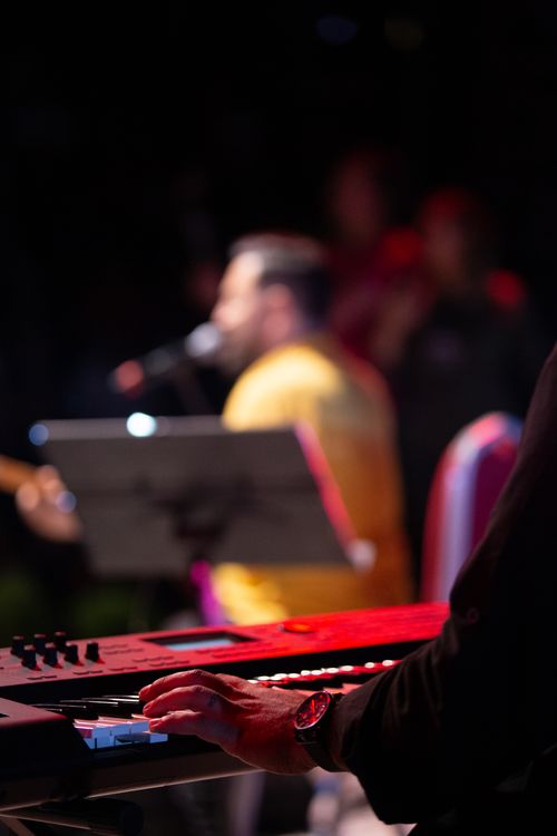 Professional musician performing at an elegant event
