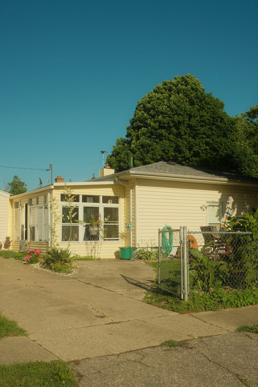 Two-story red brick Federal-style farmhouse with white columns and porch balcony, bare tree in front lawn.