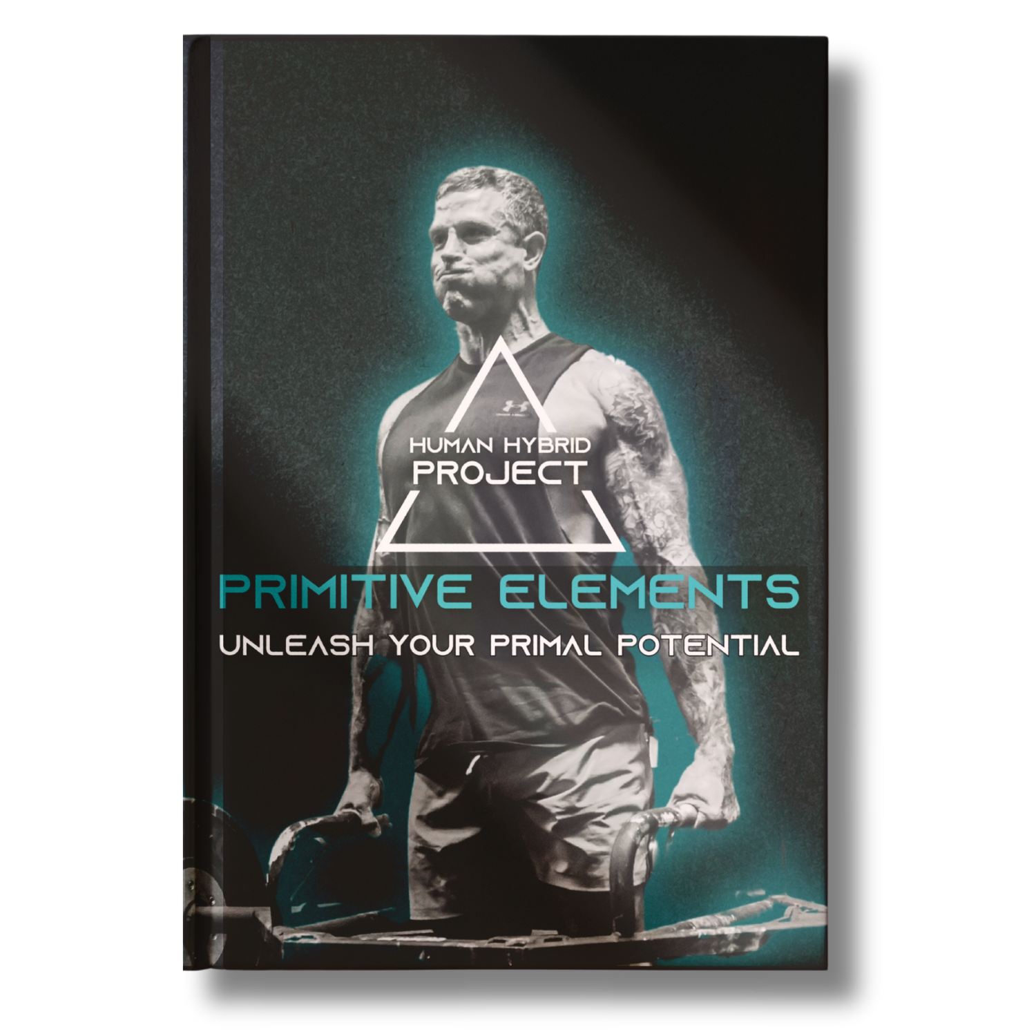 Primitive Elements eBook cover