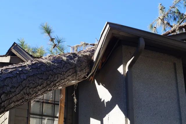 Big Lake Storm Damage Repair & Insurance Restoration