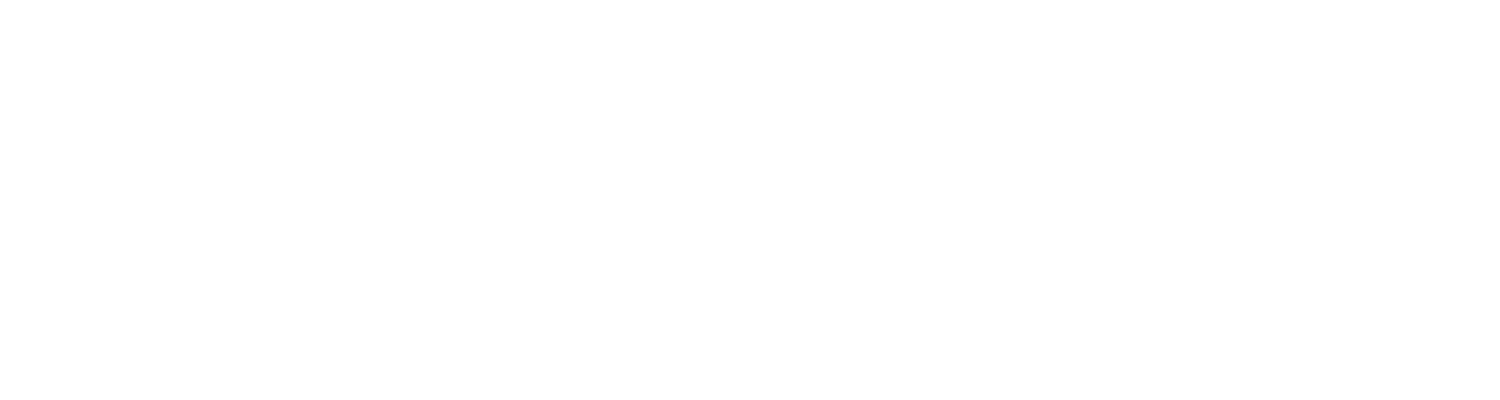 vNetCard Logo