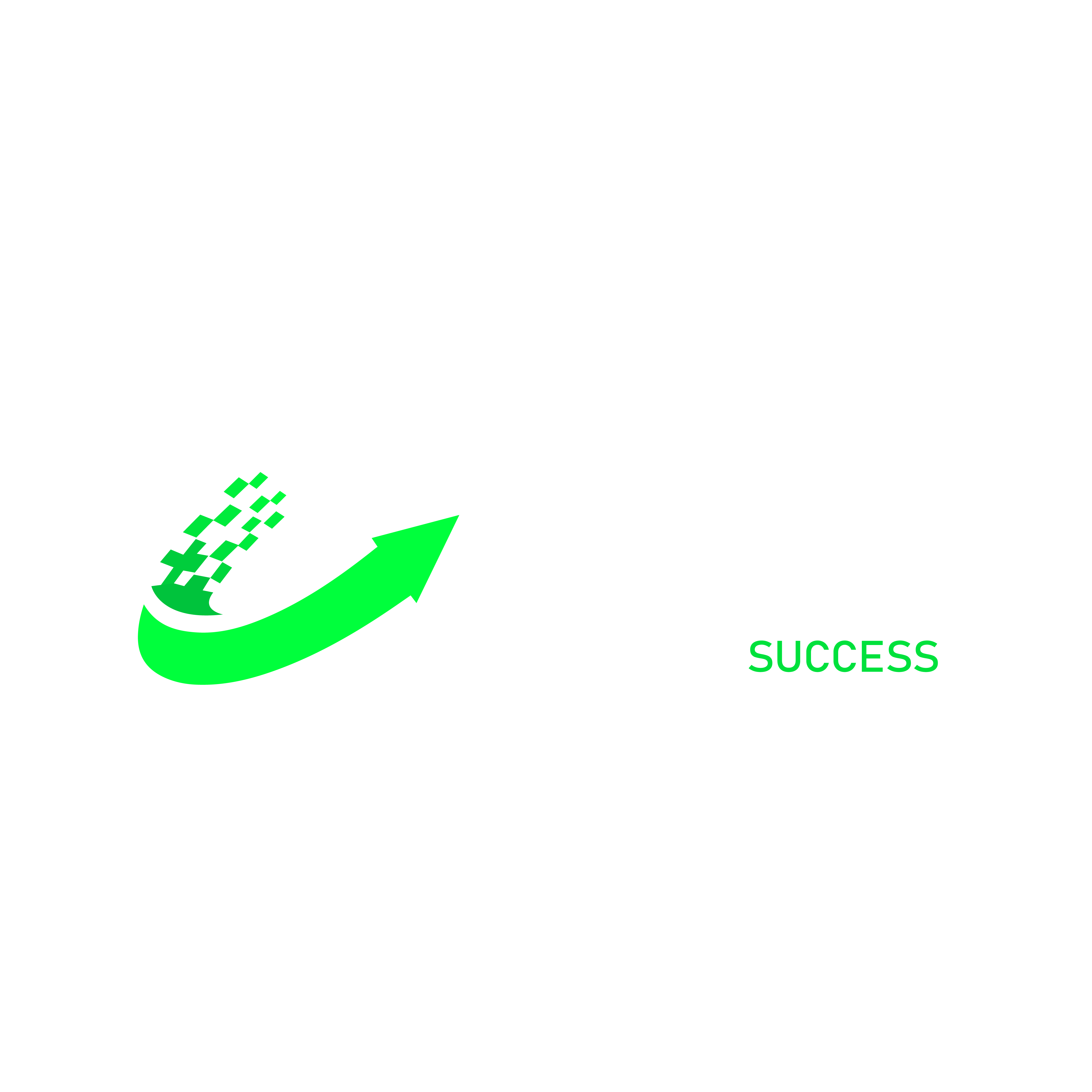 The Digital Success logo