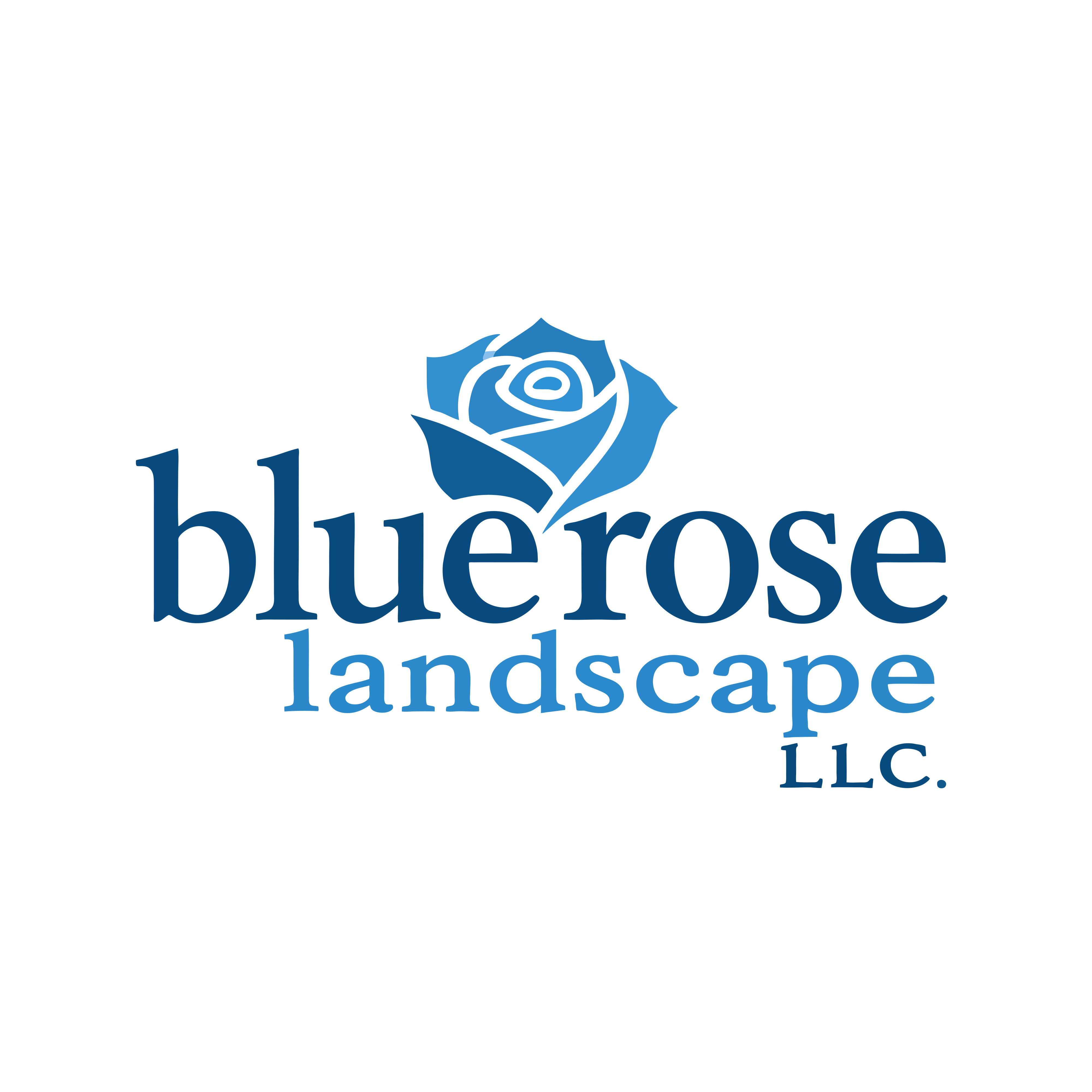 Blue Rose Landscape