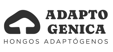 Sponsor