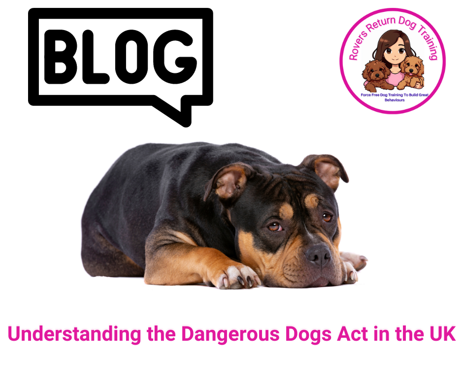 Understanding the Dangerous Dogs Act in the UK