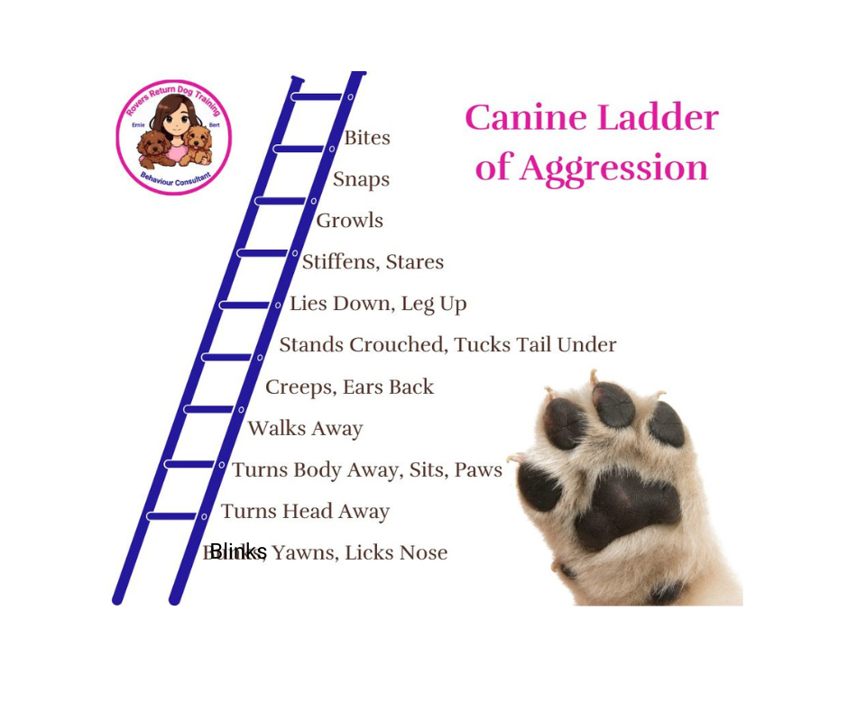 Canine Ladder of Aggression