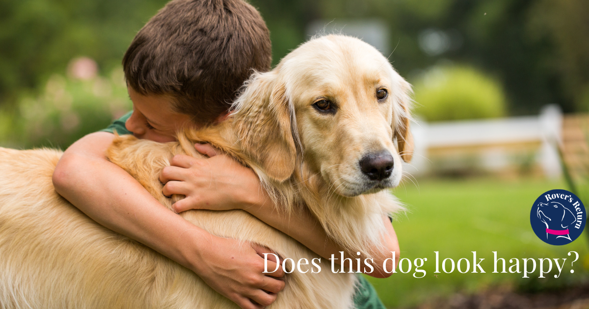 A child cuddling a dog preventing dog bites blog