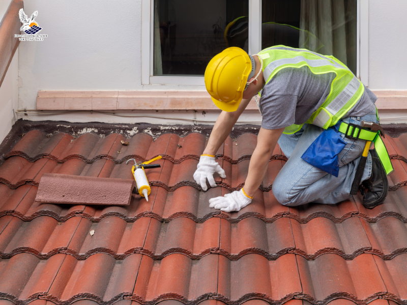 professional roof inspection