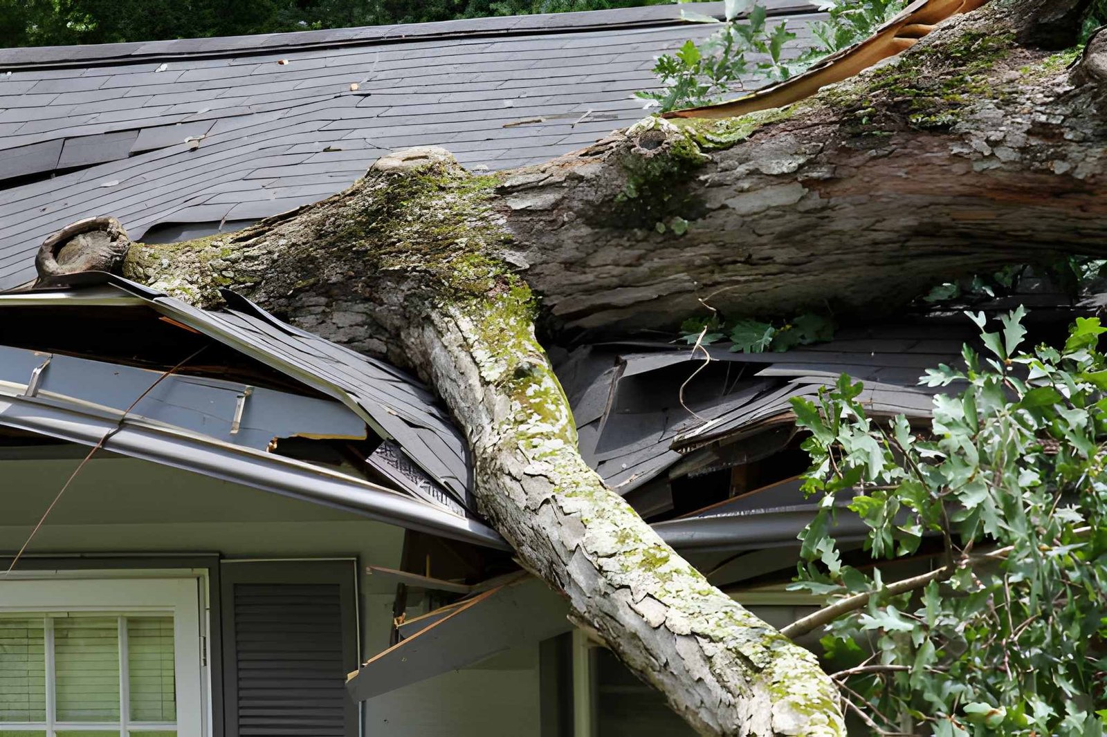 Emergency Roof Repair
