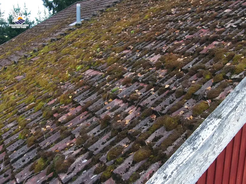 Heavy moss and leaf debris build up on an aging tile roof.
