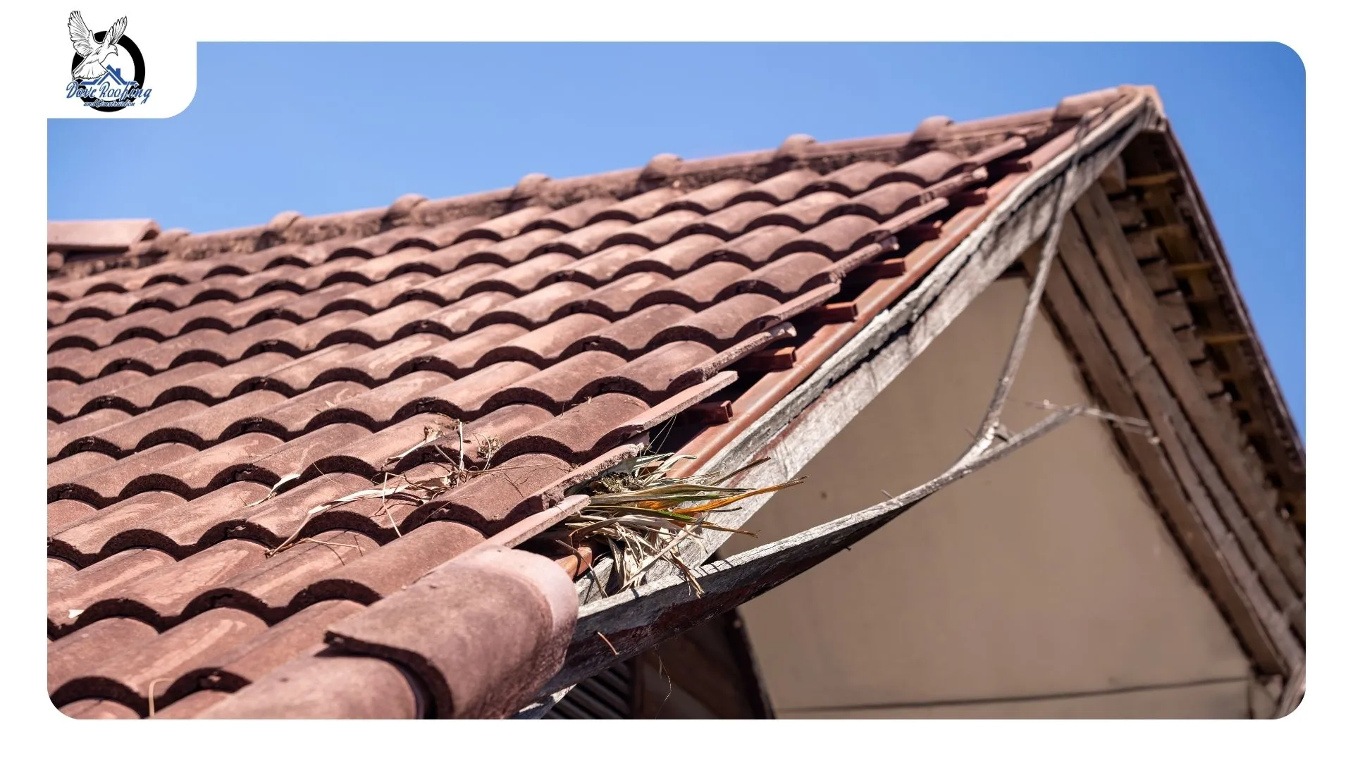 Clay barrel tile lifted aside revealing brittle cracked underlayment on a Cathedral City roof Clay barrel tile lifted aside revealing brittle cracked underlayment on a Cathedral City roof