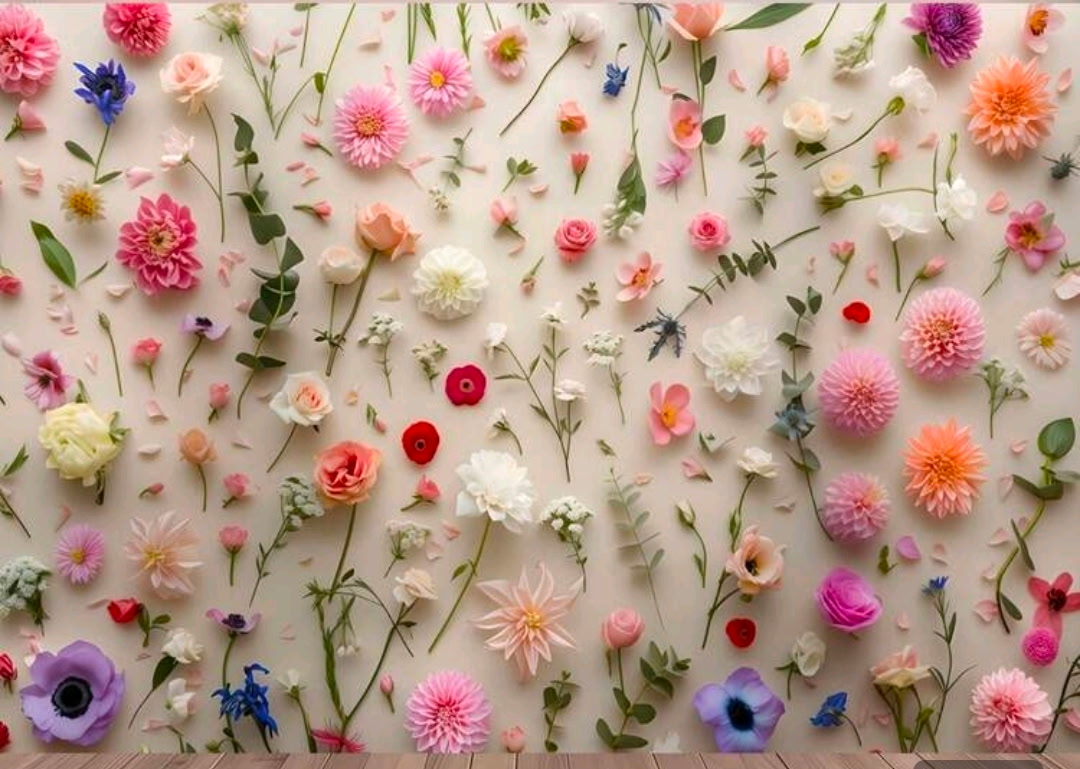 Studio backdrop option