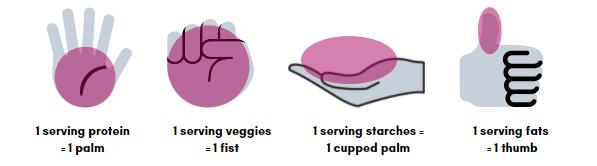 hand portion control visual hand portion control visual