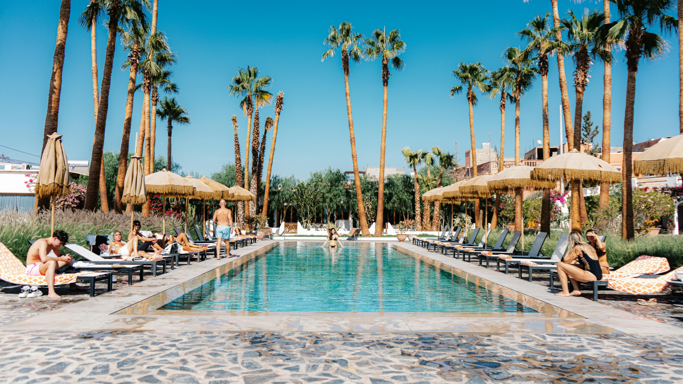 Vista Las Palmas—Mid‑Century Modern Icon