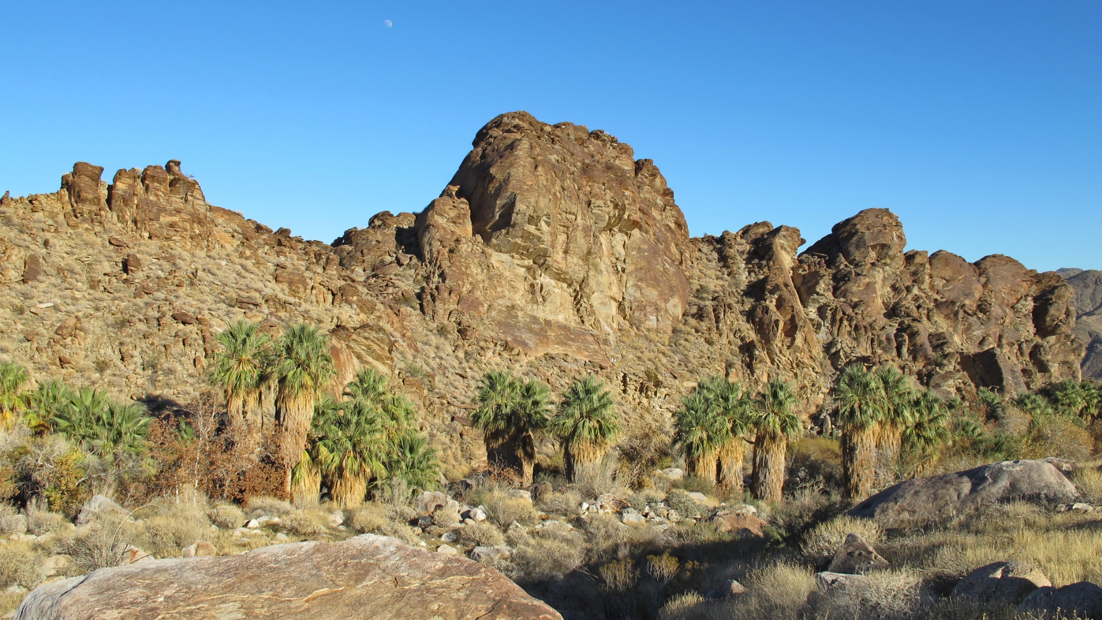 Indian Canyons—Scenic Views & Investment Appeal
