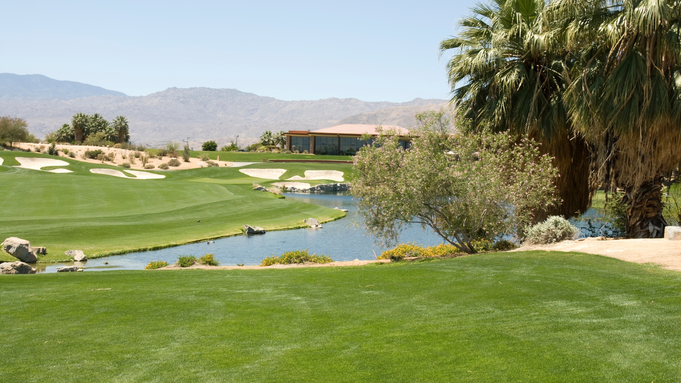 summer living in Palm Springs summer living in Palm Springs