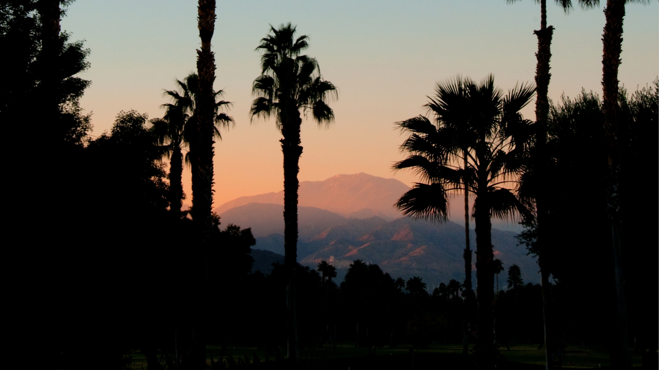 summer living in Palm Springs summer living in Palm Springs
