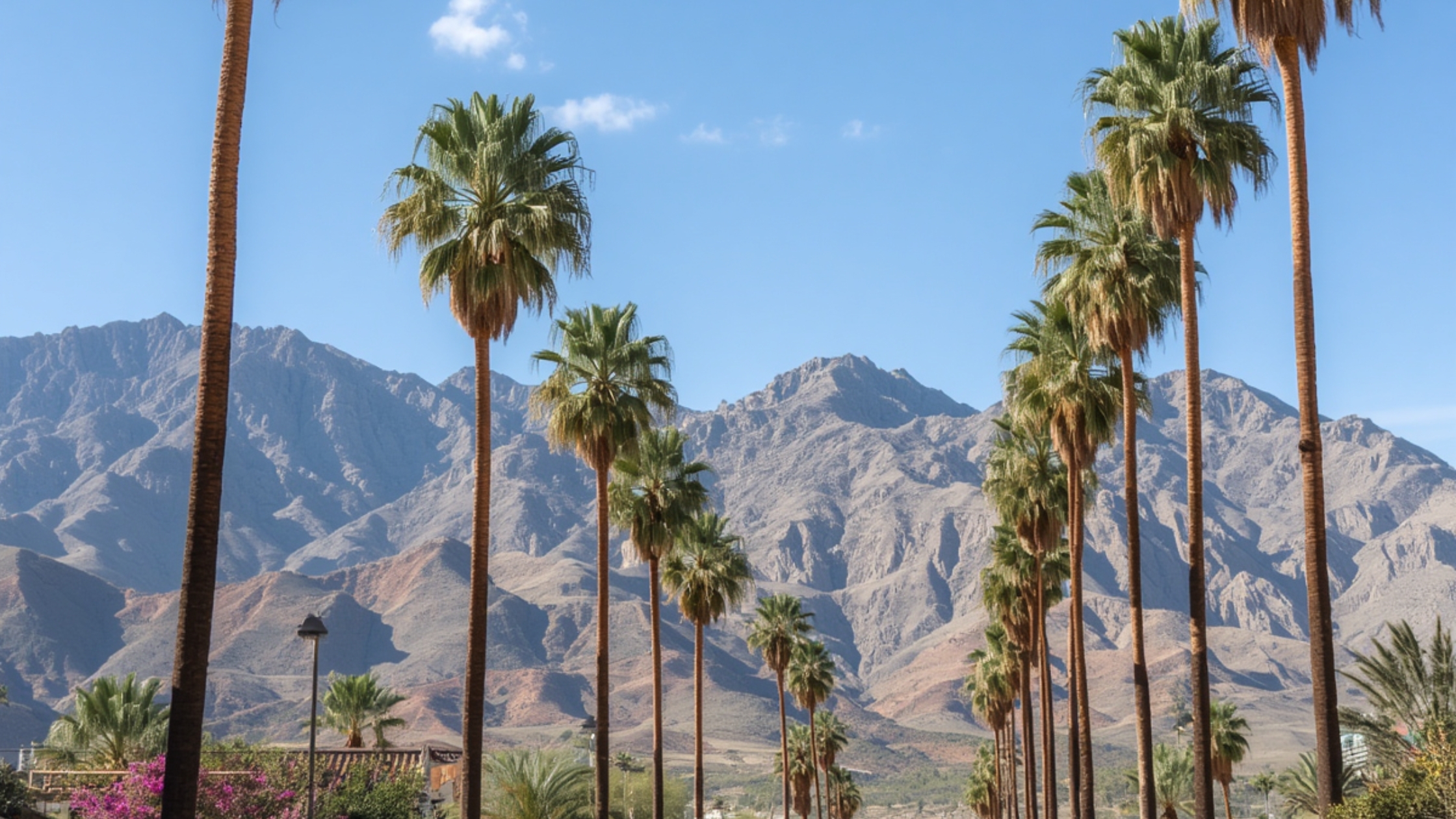 summer living in Palm Springs summer living in Palm Springs