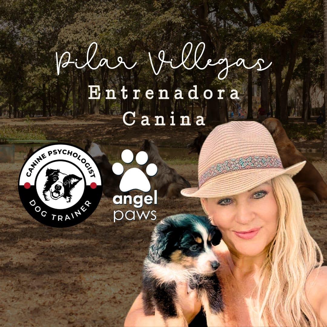 Dog Training in Pembroke Pines
