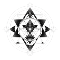 Vision