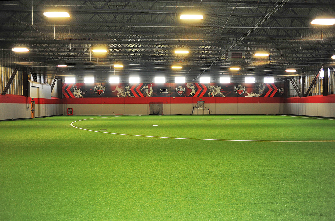 Astroturf training space at The Big House