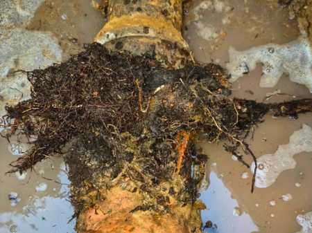 drain cleaning greater tulsa