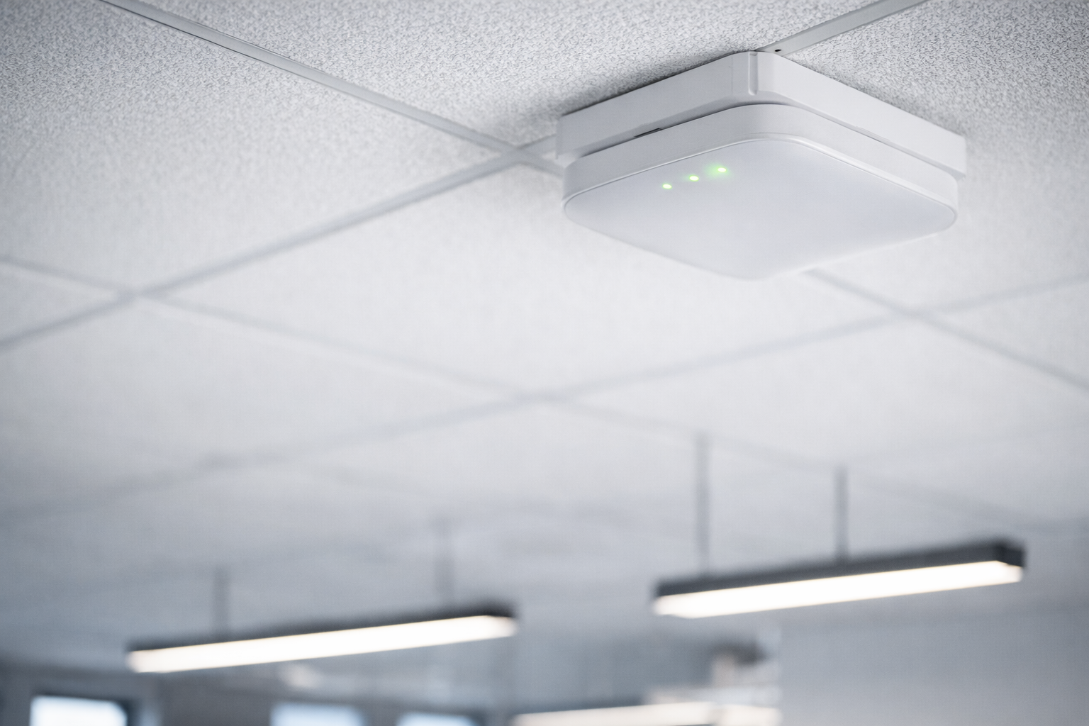 Expert Implementation Ensures Reliable Connectivity