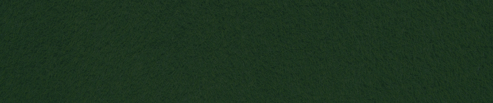 The Green 973 - Photo 5