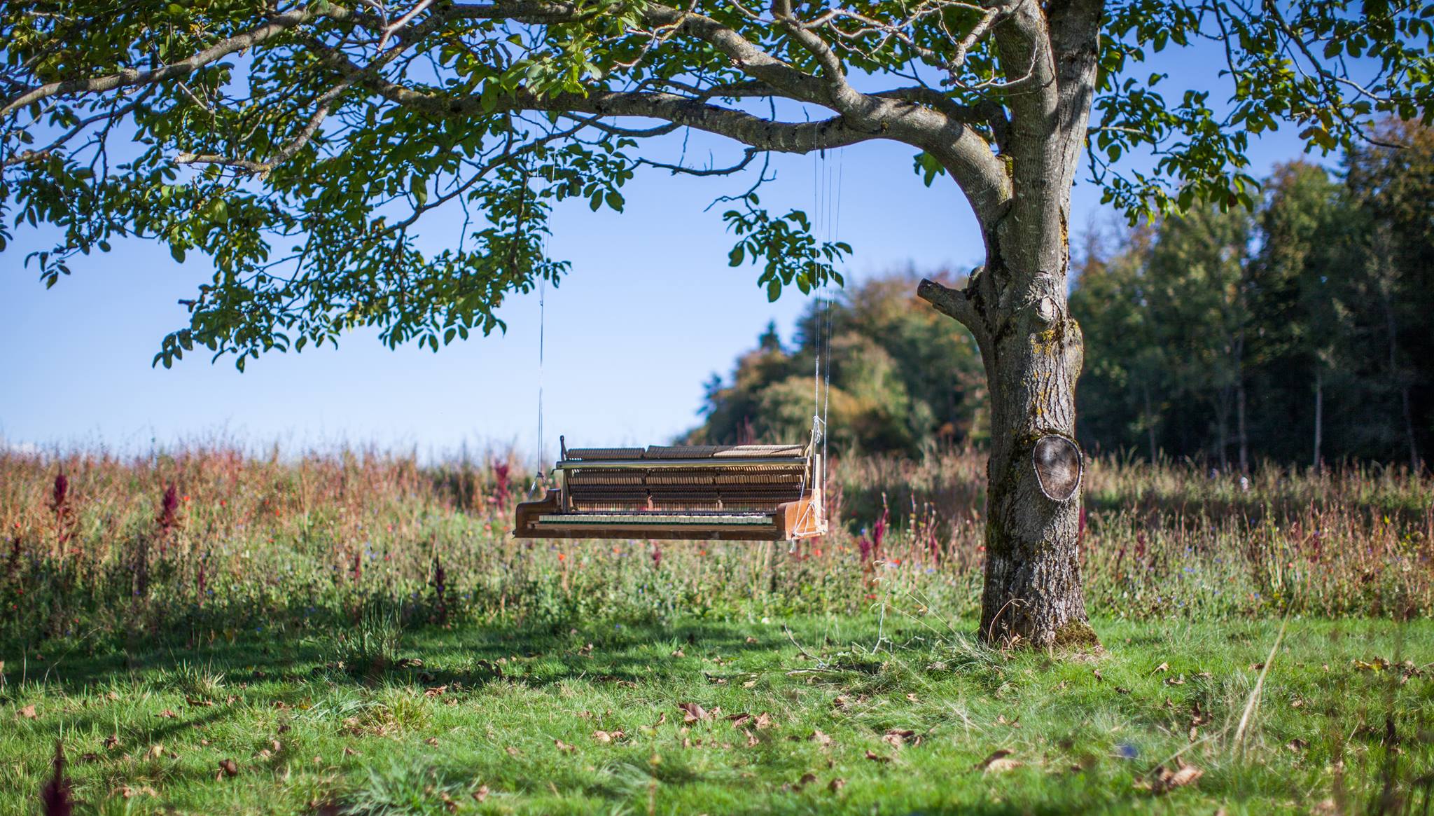 Hängendes Klavier an einem Baum — Musikvideo von Robert Wittmer