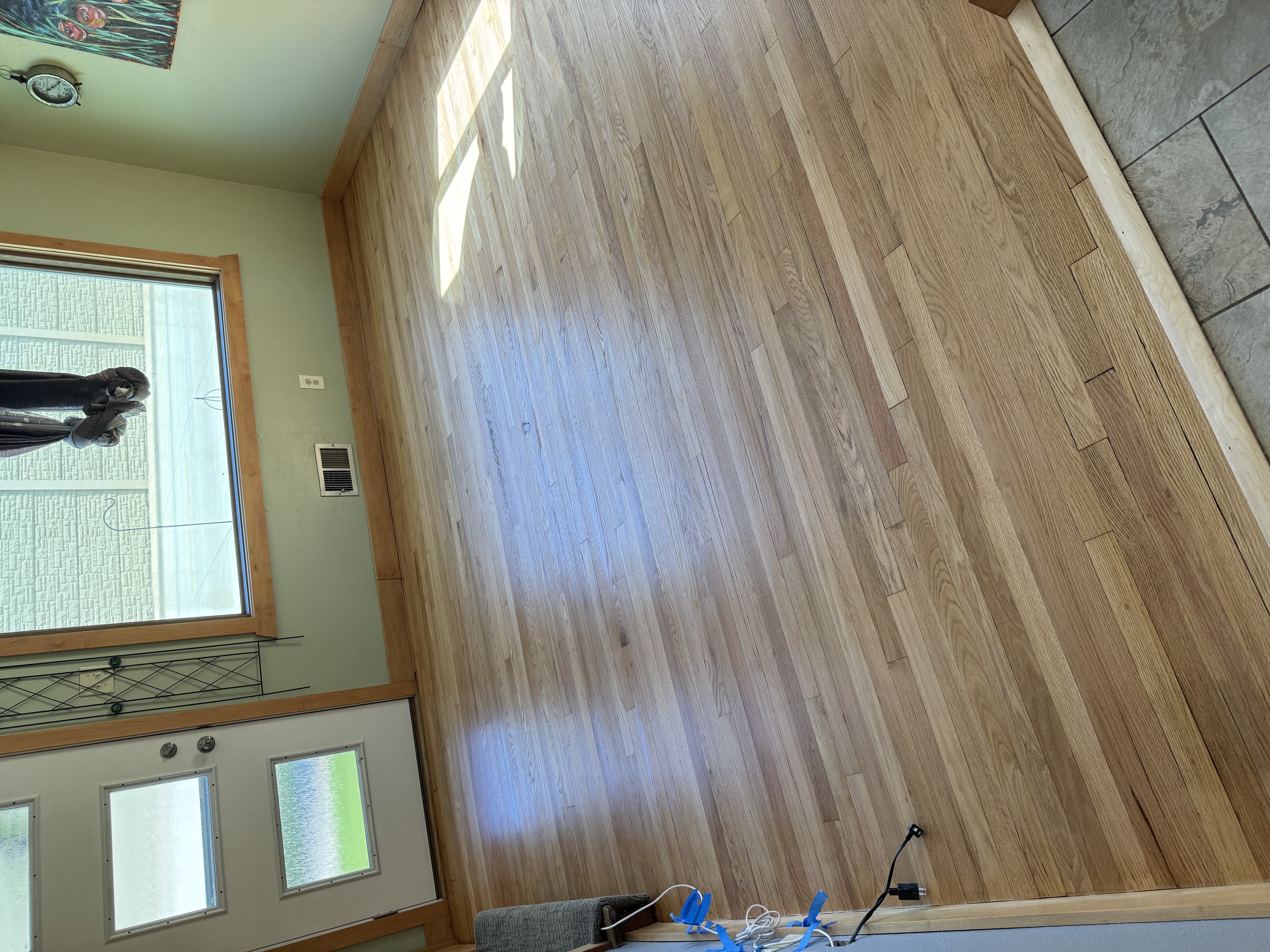 a close up of an animal laying on a wooden floor