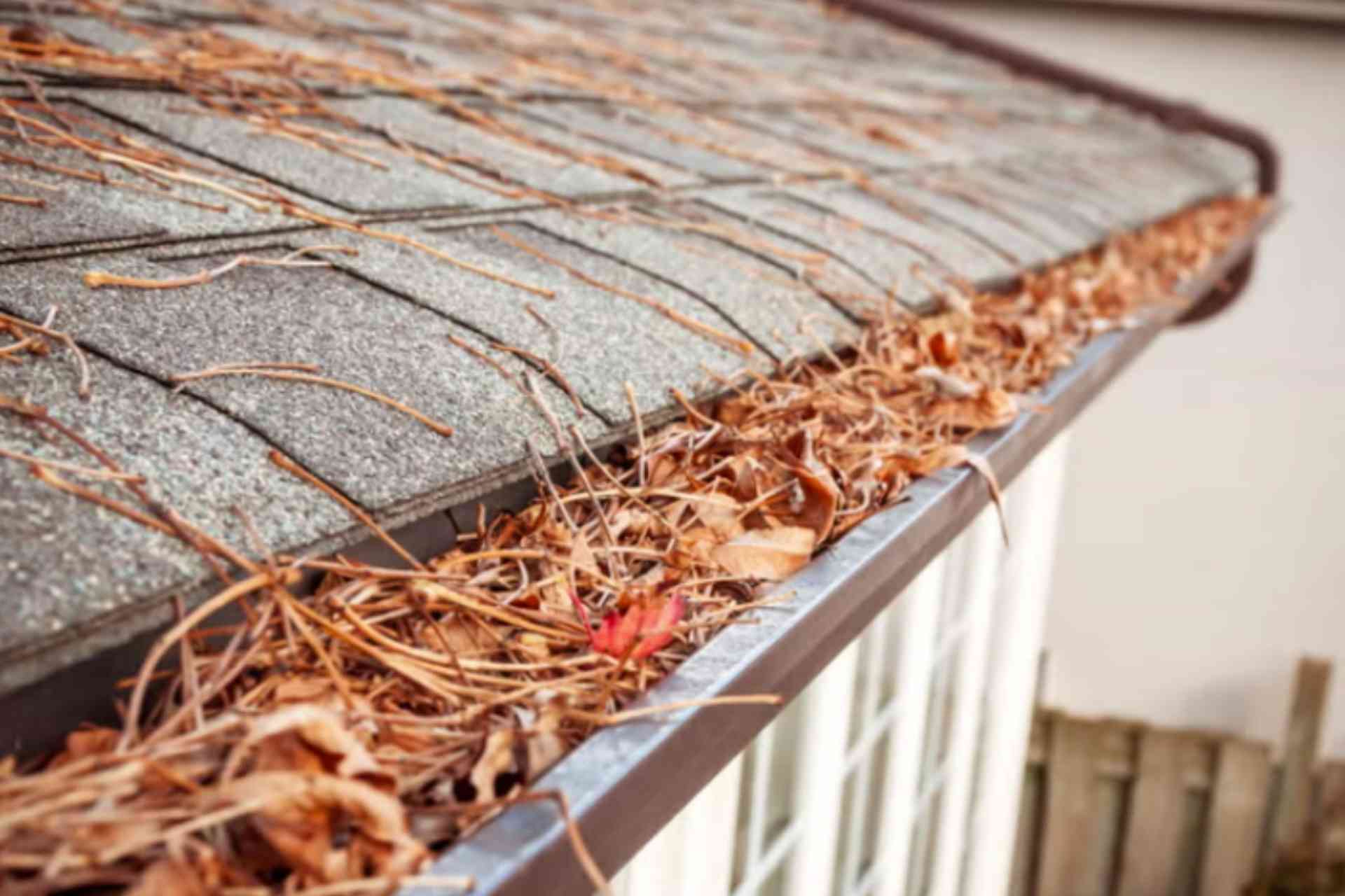 Professional Gutter Cleaning Orleans