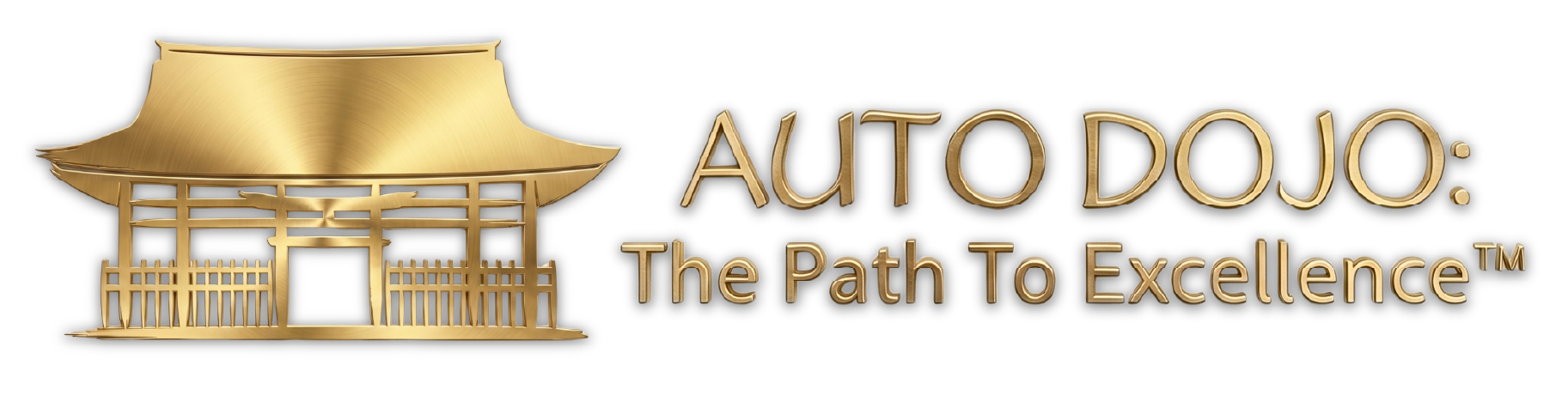 Auto Dojo