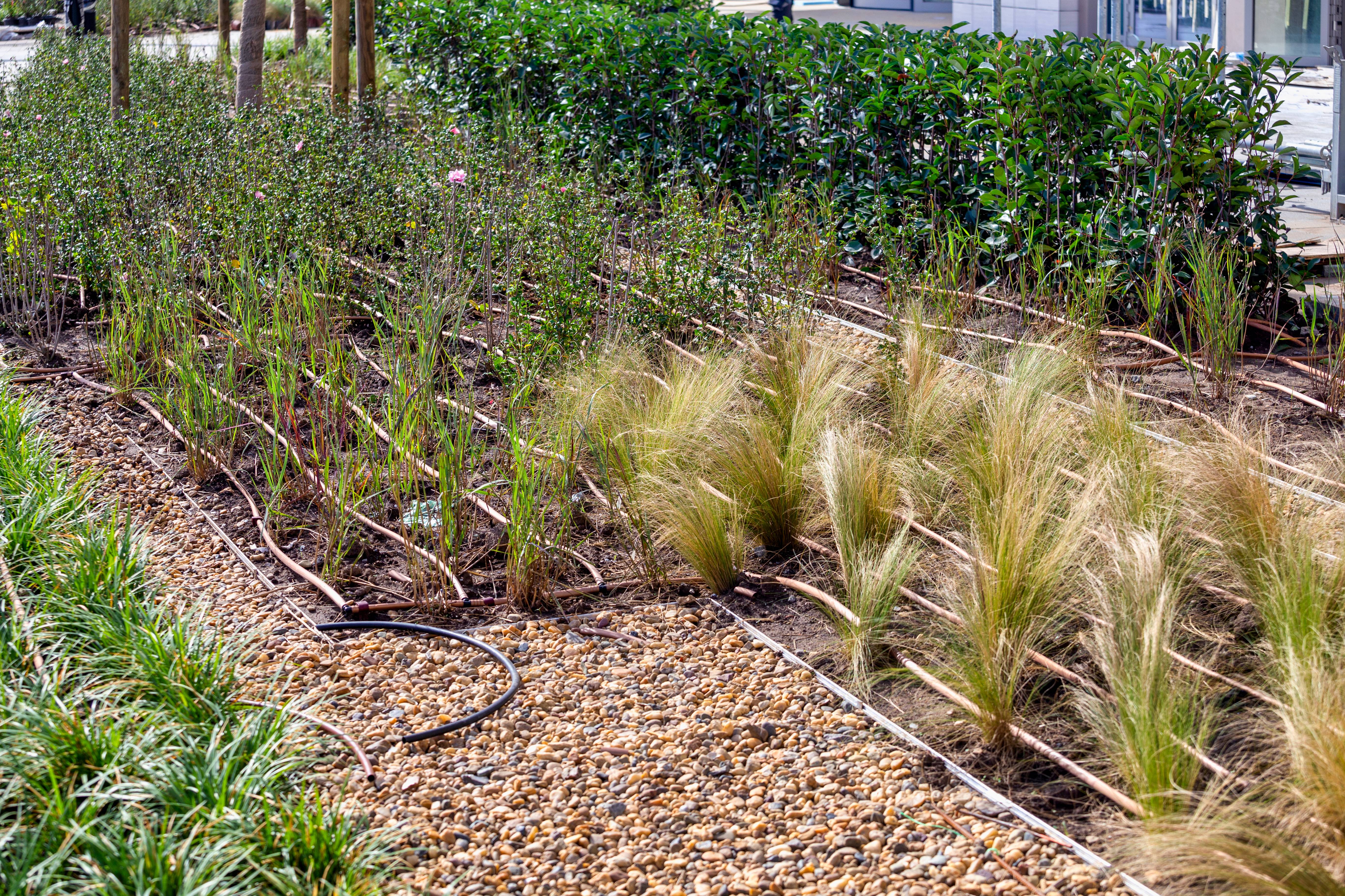 Irrigation Systems Service by Gonzalez Services INC