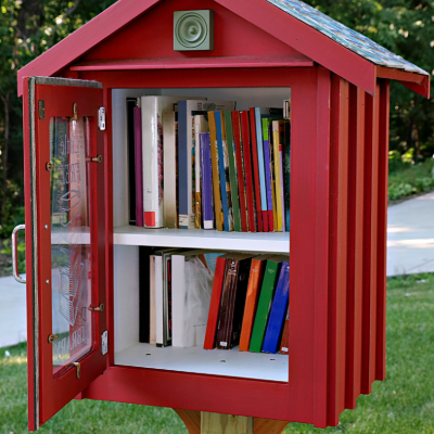 image of a neighborhood little library for book donations