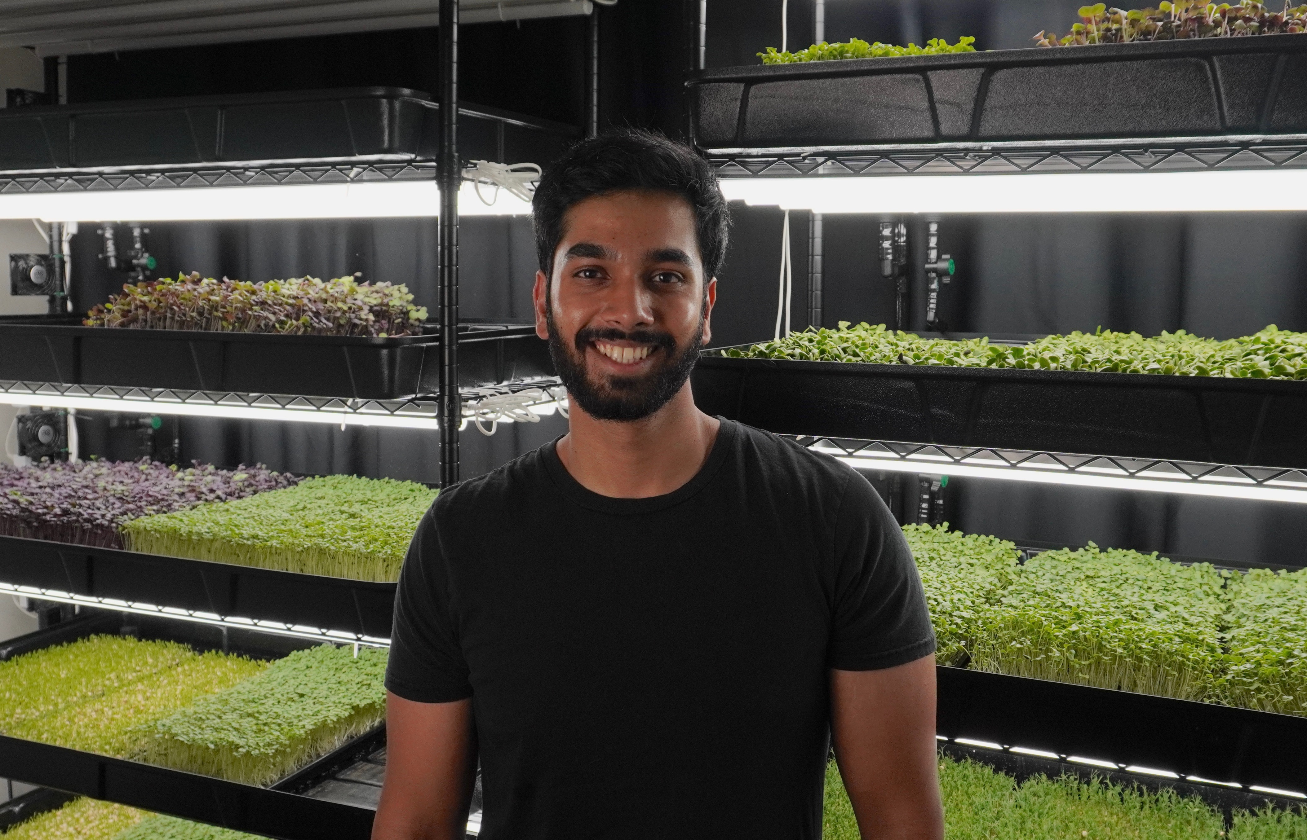 Microgreens Los Angeles