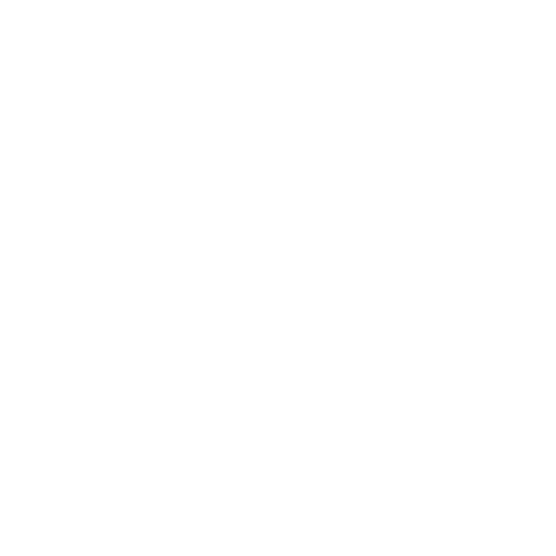 ZG Tech Solutions