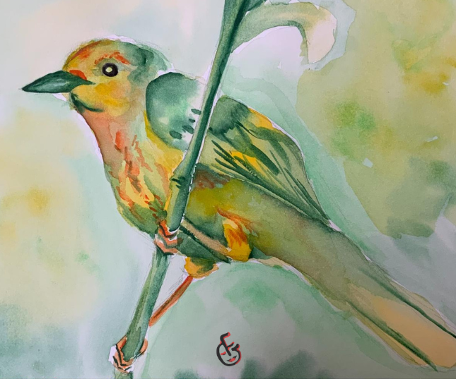 Adult bird water color painting