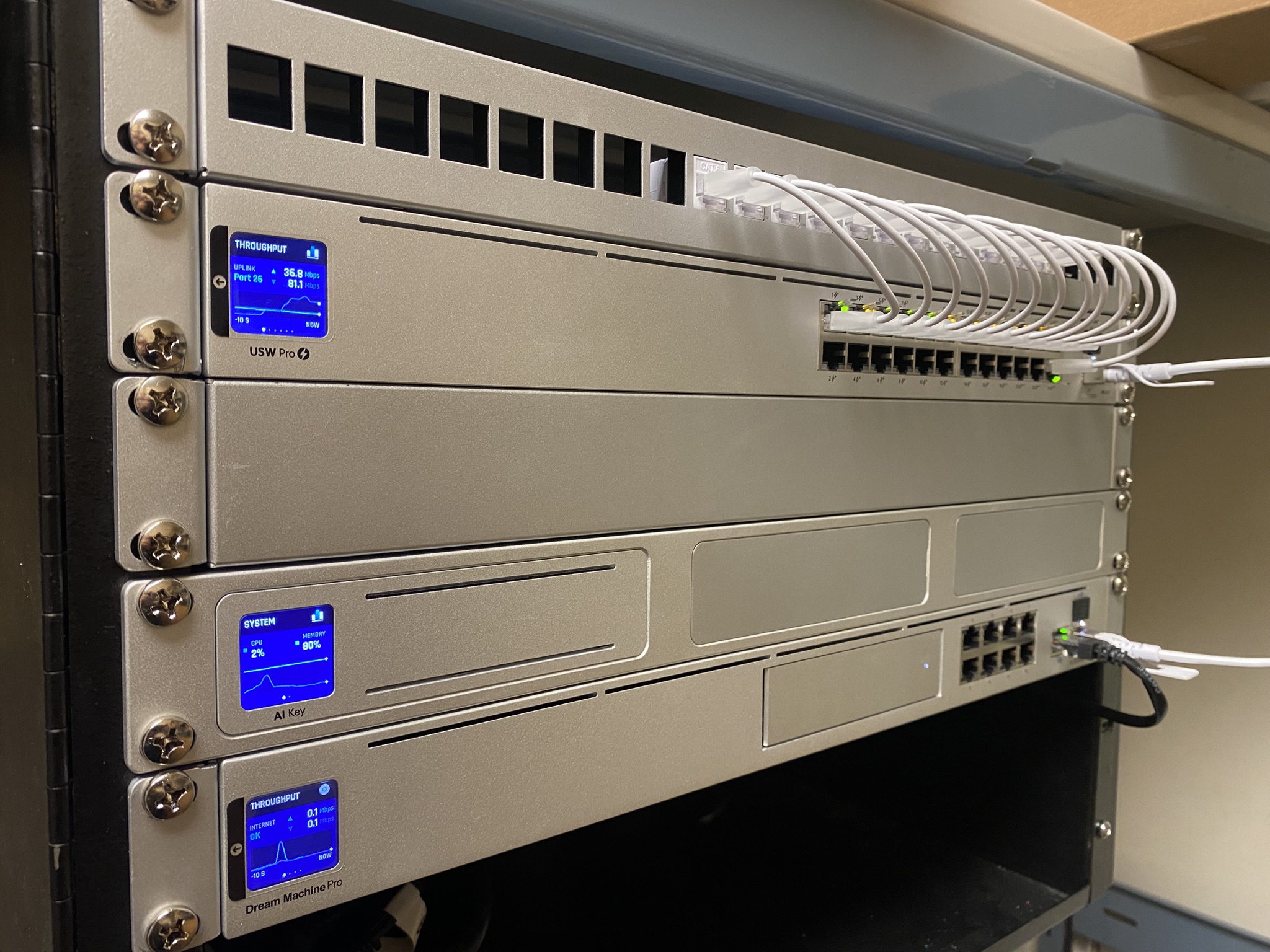 24-port patch panel and structured cabling in network rack