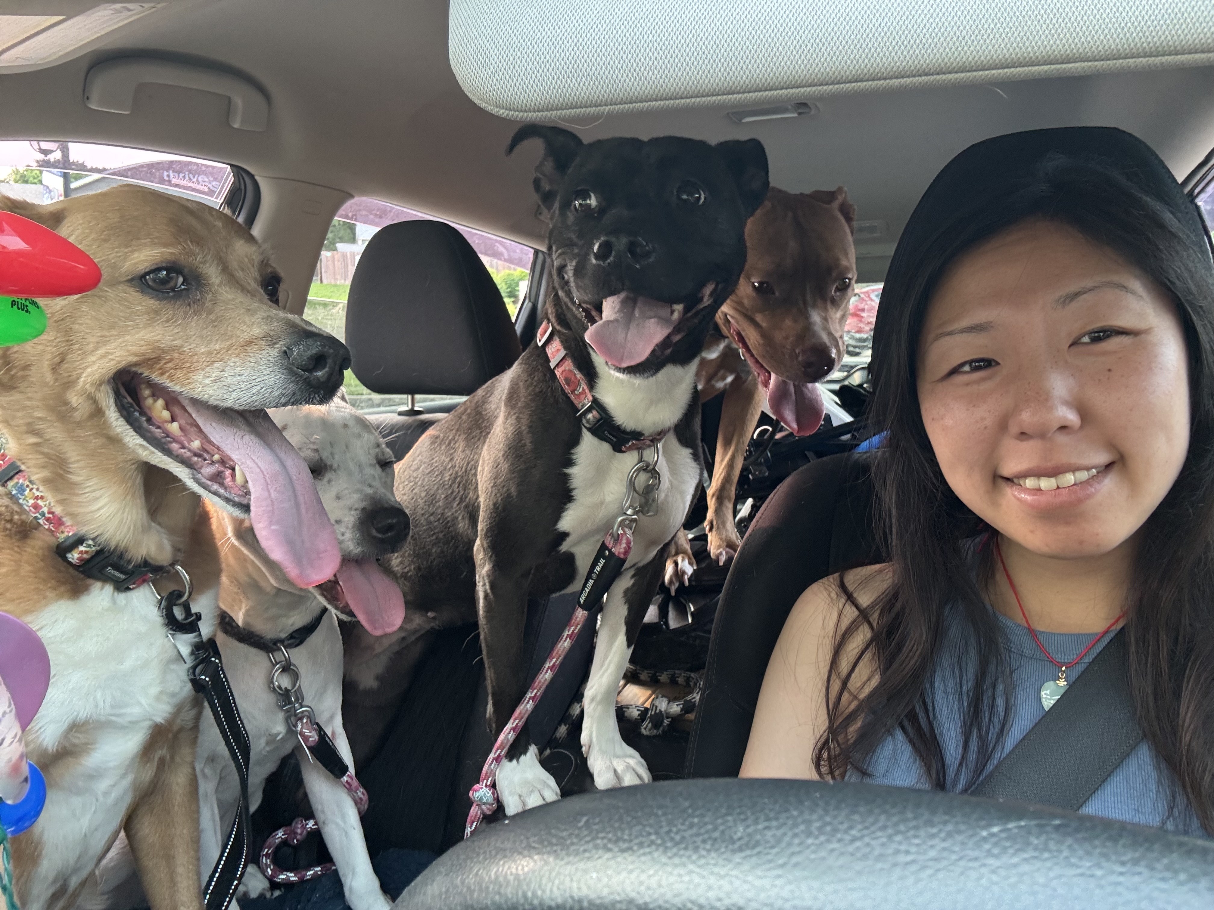 Paws with Em nail care