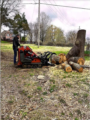 Stump Grinding in Somerville TN