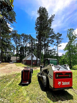 Grass installation in Somerville TN